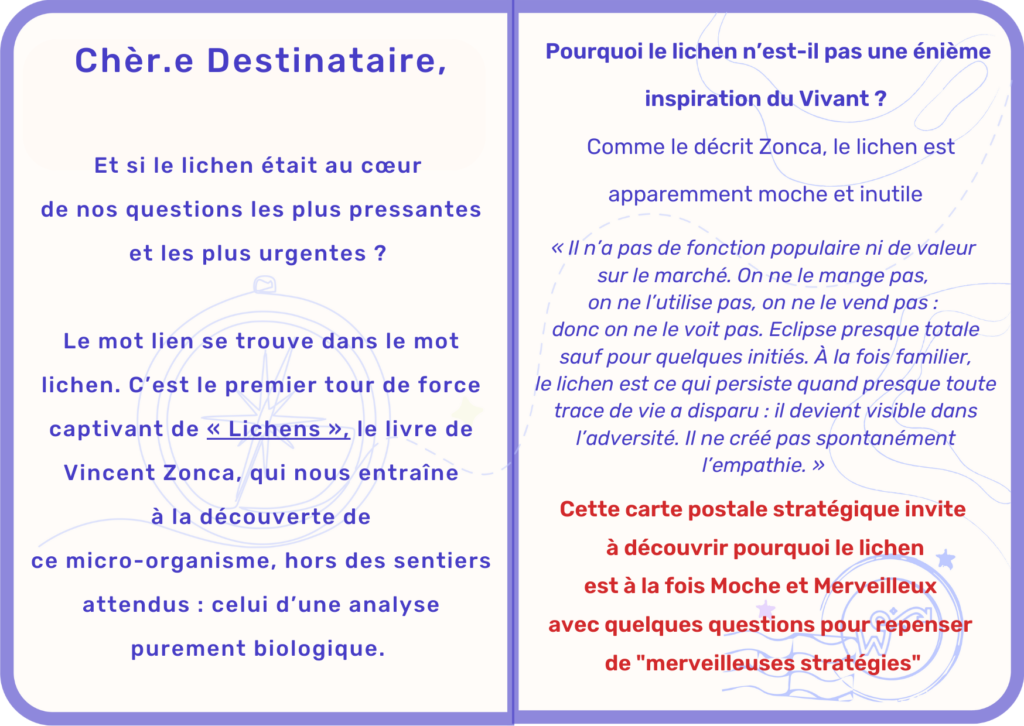 STRATEGIES REGENERATIVES_LICHEN VERSO